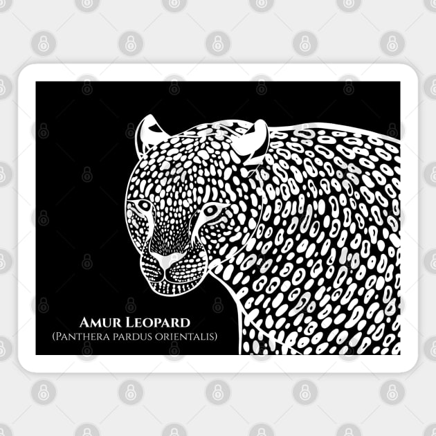 Amur Leopard with Common and Scientific Names - big cat design Magnet by Green Paladin